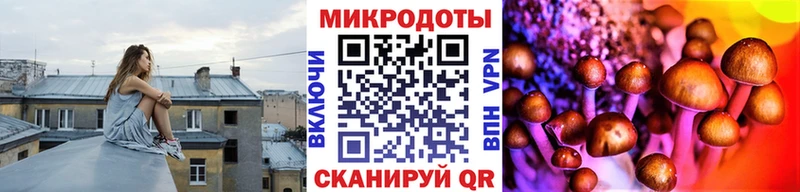 Псилоцибиновые грибы Psilocybine cubensis  наркотики  Воскресенск 